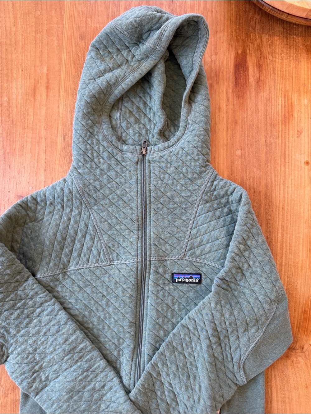 Patagonia Quilted Hoodie